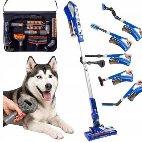 Dom